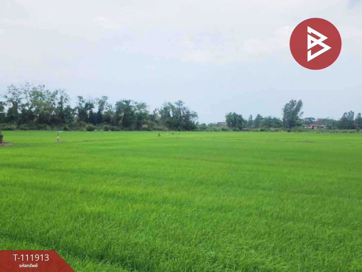 ขายที่ดินพิษณุโลก : ขายที่ดิน เนื้อที่ 10 ไร่ บางระกำ พิษณุโลก