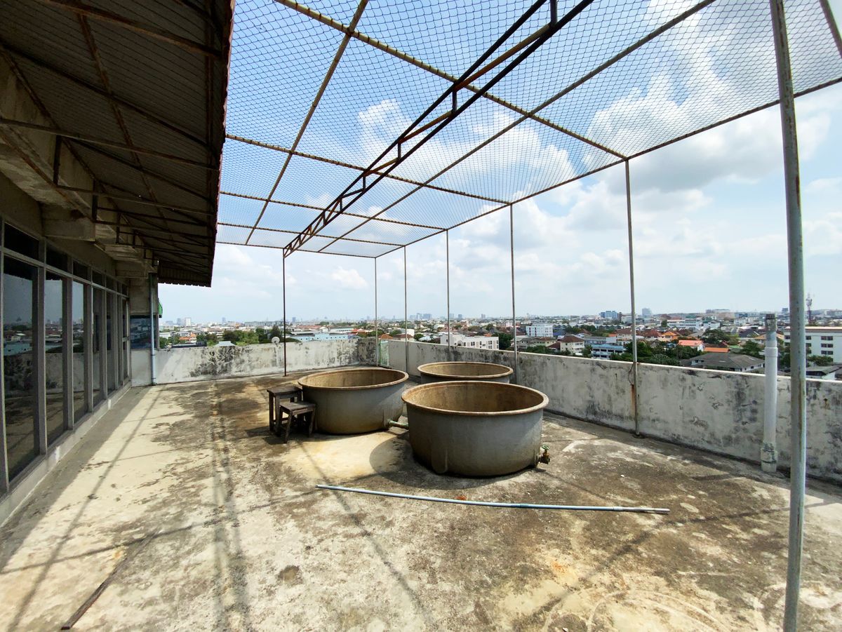 ขายที่ดินอ่อนนุช อุดมสุข : สุขุมวิท 101/1  ที่ดินพร้อมอาคาร 9 ชั้น  [Boon Estate]