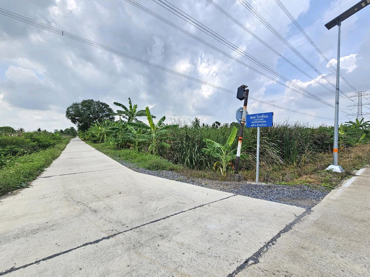 ขายที่ดินปทุมธานี รังสิต ธรรมศาสตร์ : รายละเอียด
ขายที่ดินเปล่า 1 ไร่ คลอง 10 หนองเสือ