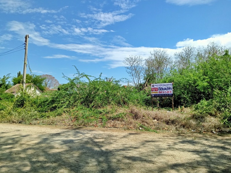 ขายที่ดินชะอำ เพชรบุรี : ถนนคันกั้นน้ำเค็ม (พบ.4028) ปึกเตียน ท่ายาง เพชรบุรี
