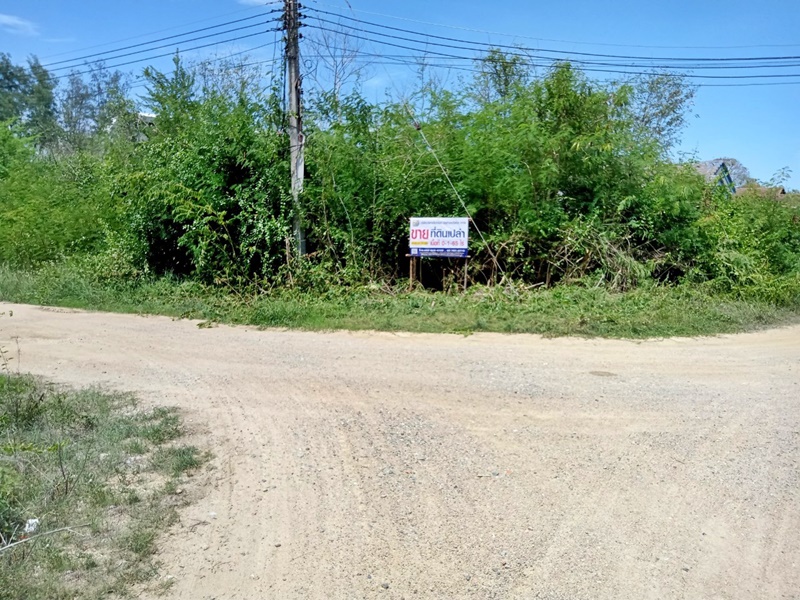 ขายที่ดินชะอำ เพชรบุรี : ถนนคันกั้นน้ำเค็ม (พบ.4028) ปึกเตียน ท่ายาง เพชรบุรี