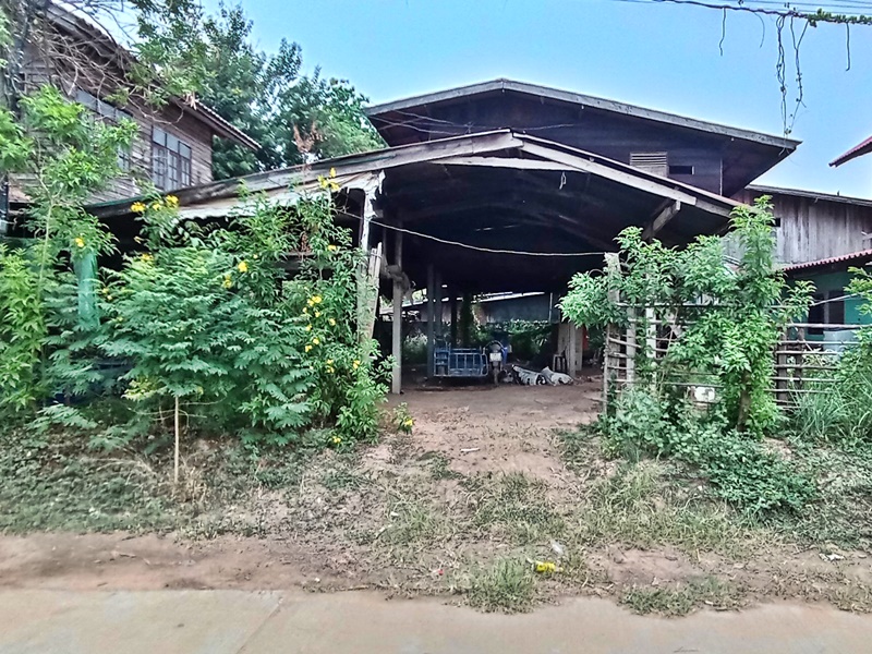 ขายบ้านร้อยเอ็ด : บ้านดอนพระจันทร์ 79, 8 หมู่ 14 พนมไพร-มหาชัยชนะ (2043) พนมไพร พนมไพร ร้อยเอ็ด