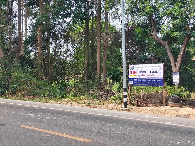 ขายที่ดินร้อยเอ็ด : เสลภูมิ-โพนทอง (2046) หนองหลวง เสลภูมิ ร้อยเอ็ด