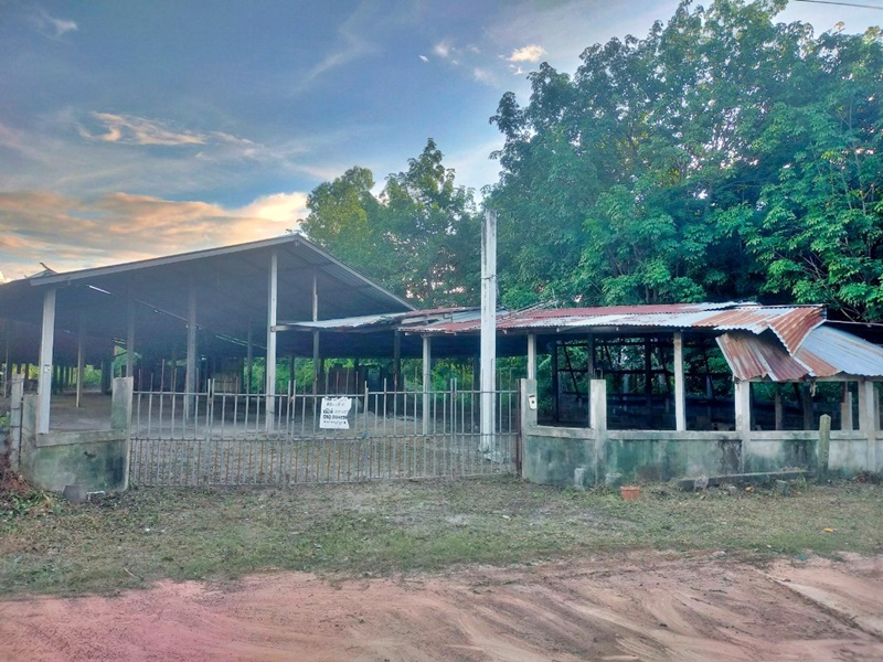 ขายบ้านร้อยเอ็ด : 17 ถนนบ้านหวายหลืม-บ้านไผ่ล้อม (รอ.1006) เลี่ยงเมืองร้อยเอ็ด (232) เชียงขวัญ เชียงขวัญ ร้อยเอ็ด