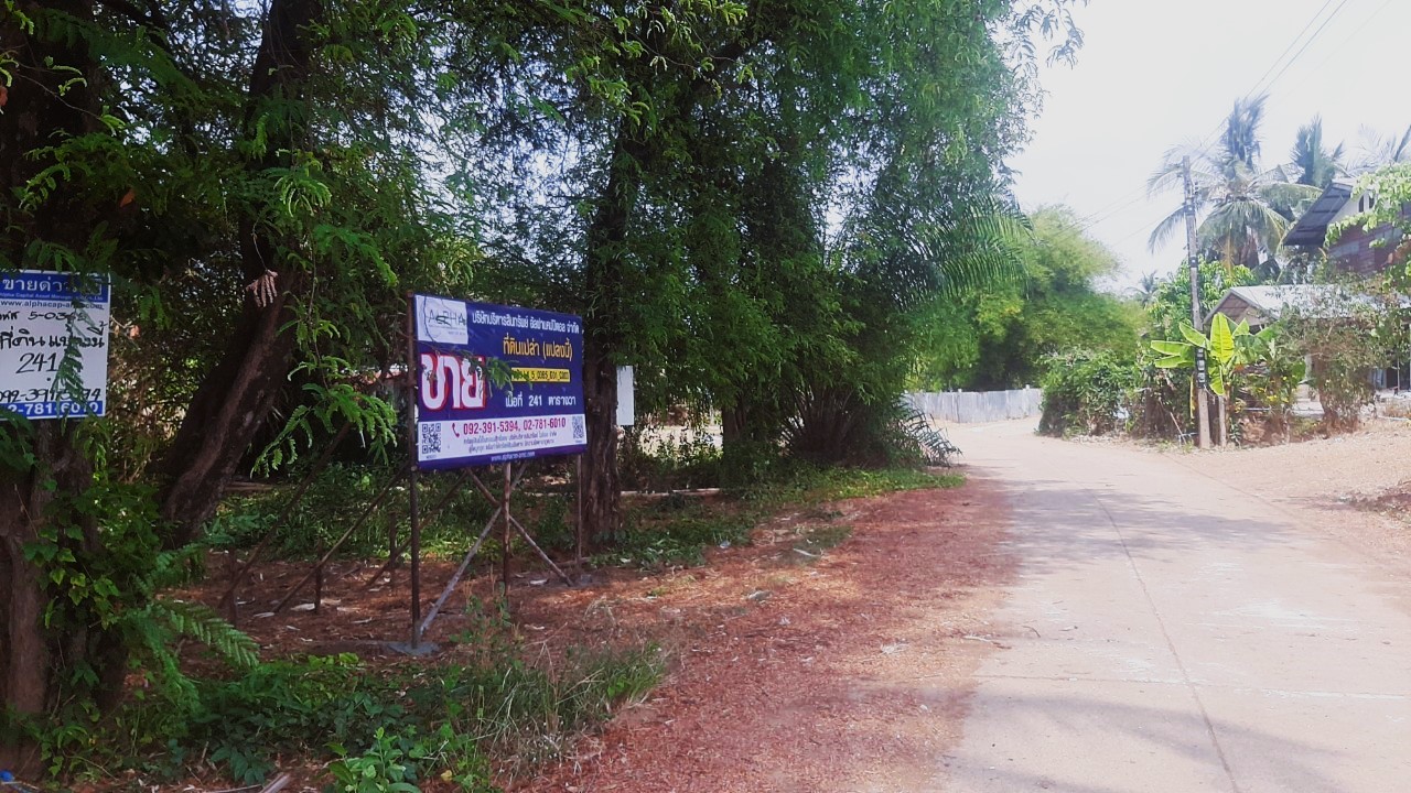 ขายที่ดินเพชรบูรณ์ : วังไผ่-ท่าวังดี ท่าแดง หนองไผ่ เพชรบูรณ์