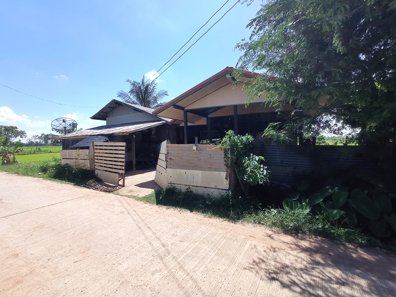 ขายบ้านกาฬสินธุ์ : 203 ยางตลาด-โพนทอง (2116) หนองแปน กมลาไสย กาฬสินธุ์