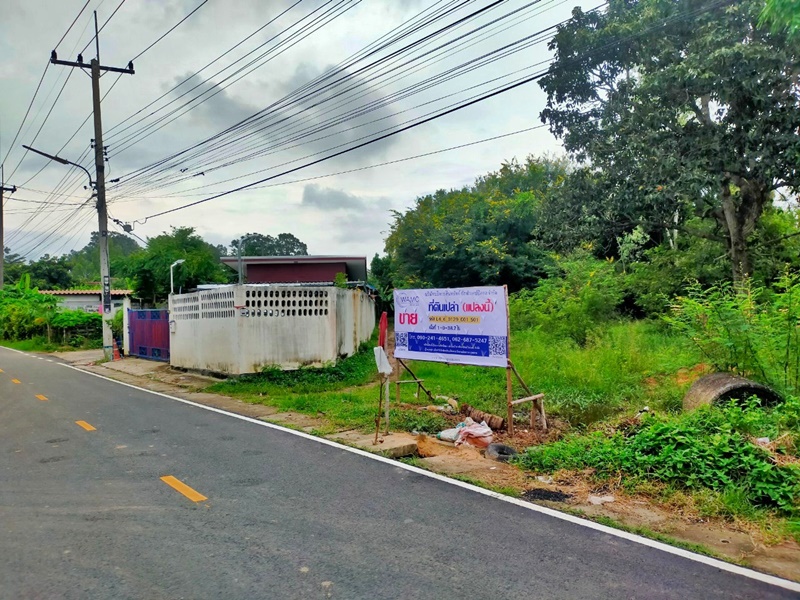 ขายที่ดินศรีสะเกษ : ถนนเทศบาล 2 ราษีไศล-มหาชนะชัย (2083) เมืองคง ราษีไศล ศรีสะเกษ
