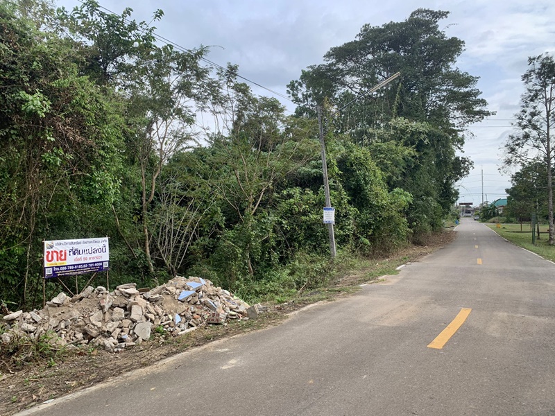 ขายที่ดินตรัง : ซอยเทศบาล 14 แยกจาก ถนนสายห้วยยอด-กระบี่(ทล.4) ถนนสายห้วยยอด-กระบี่(ทล.4) วังมะปรางเหนือ วังวิเศษ ตรัง