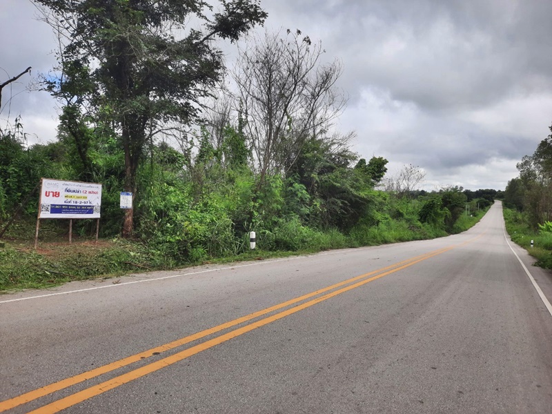 ขายที่ดินเลย : แยก ทล.201-หนองคัน (2250) ผาบิ้ง วังสะพุง เลย