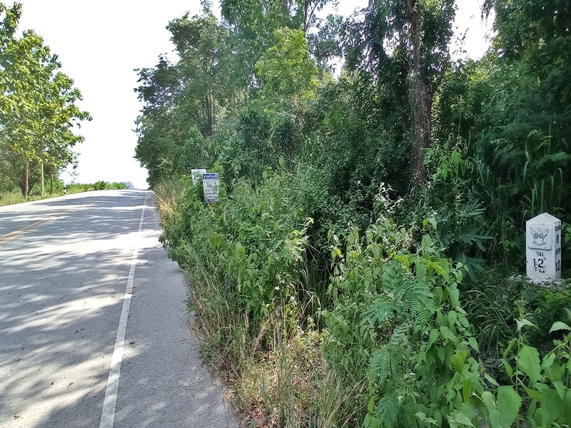 ขายที่ดินเลย : แยก ทล.201-หนองคัน (2250) ผาบิ้ง วังสะพุง เลย
