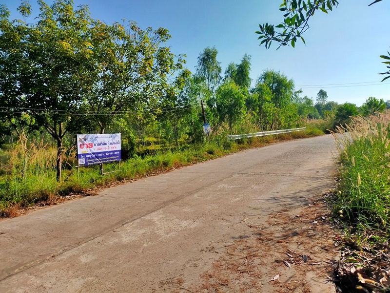 ขายที่ดินบึงกาฬ : บ้านโคกโขลง-บ้านท่าไร่ ป่งไฮ เซกา บึงกาฬ