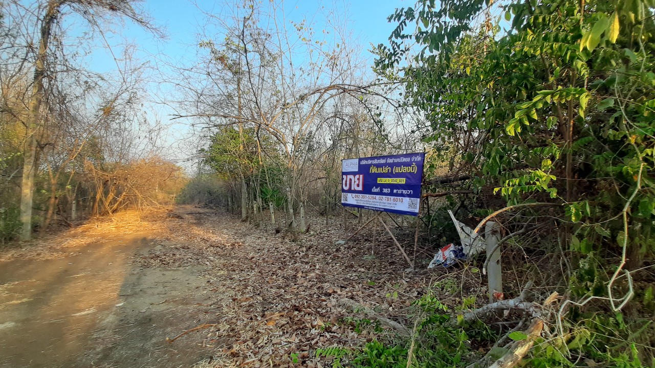 For SaleLandPhetchabun : Khao Kho Grand Ville Soi Khao Kho Grand Ville Baan Nang-Khao-Khao Kho (Tor. 2196) Mrs. Mueang Phetchabun, Phetchabun