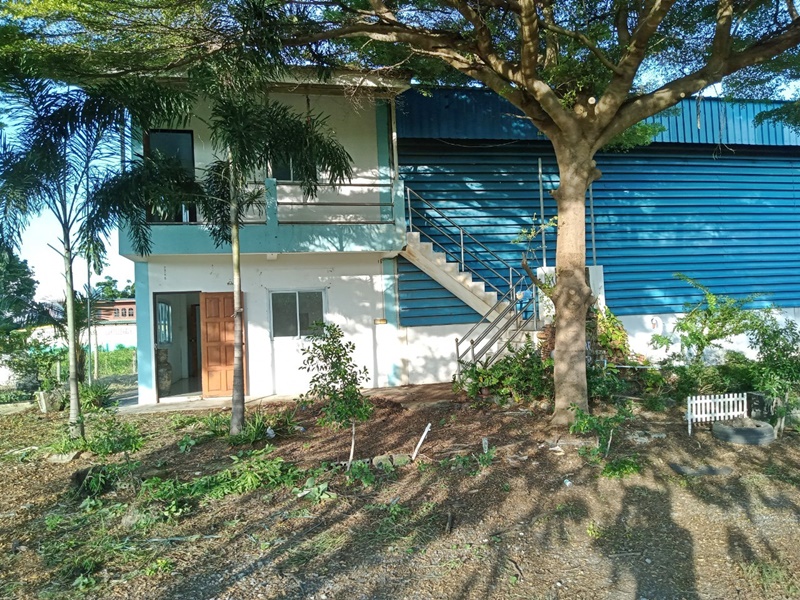 For SaleWarehouseSaraburi : 299 Moo 10, Ban Bai -Nong Don Road, separated from Ban Lang Suan Road - Baan Return (Sor. 1022).