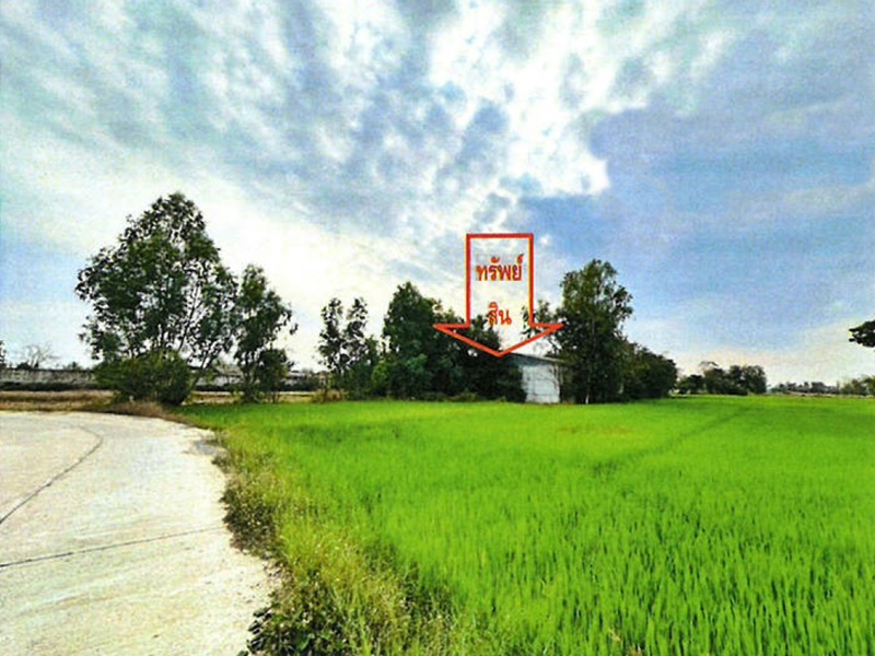 ขายโกดังพิจิตร : 0