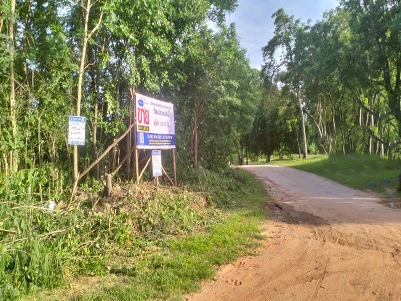 ขายที่ดินชัยภูมิ : ที่ดิน ห่างจากถนนสายบ้านกอก-บ้านสระสี่เหลี่ยม ประมาณ 185 เมตร