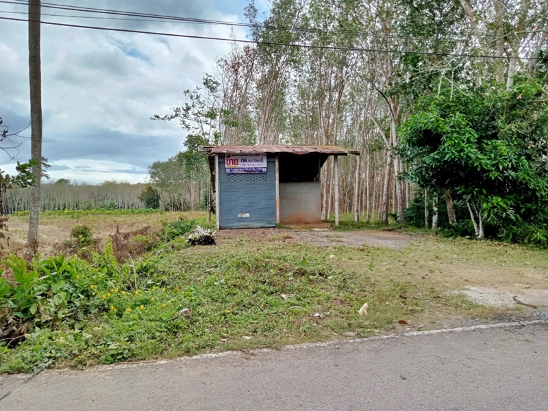 For SaleLandSatun : - Wang Pring Road - Ko Sai, separated from Chalung -Lala Snake Road (Tor. 416), Tha Phae Satun Port