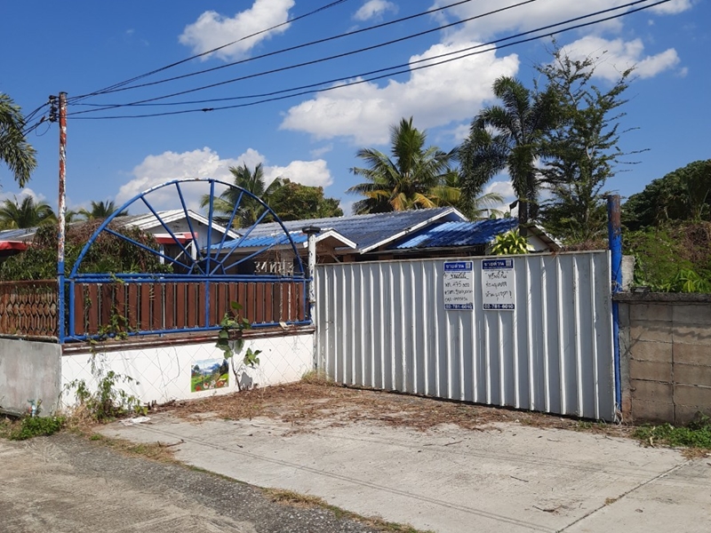 ขายบ้านเชียงราย : ที่ดินพร้อมสิ่งปลูกสร้าง ห่างจากถนนสายบ้านเเม่คาวโตน-บ้านไร่อ้อย ประมาณ 165 เมตร