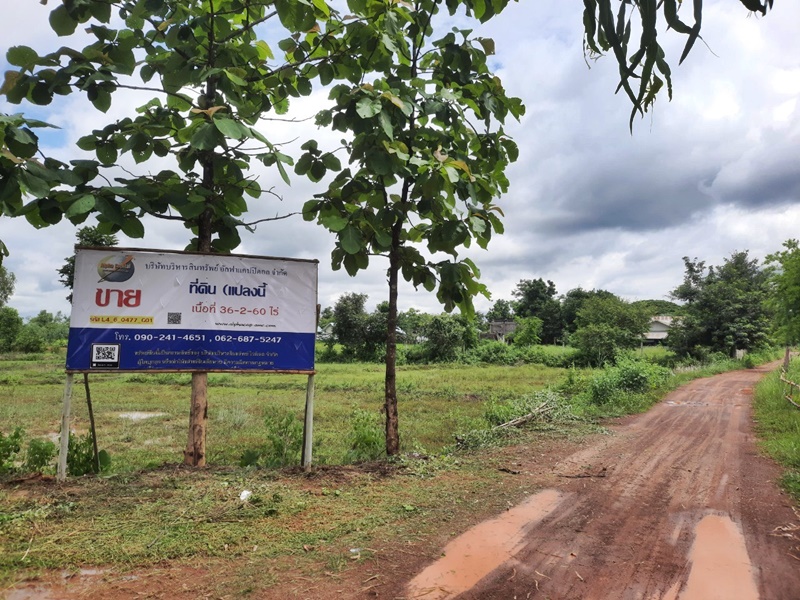 ขายที่ดินบึงกาฬ : ที่ดิน ห่างจากถนนสายโพนพิสัย-โซ่พิสัย (ทล.2267) ประมาณ 866 เมตร