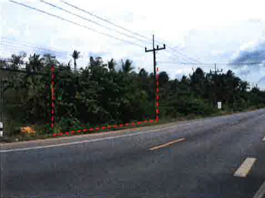 ขายที่ดินพัทลุง : ที่ดิน