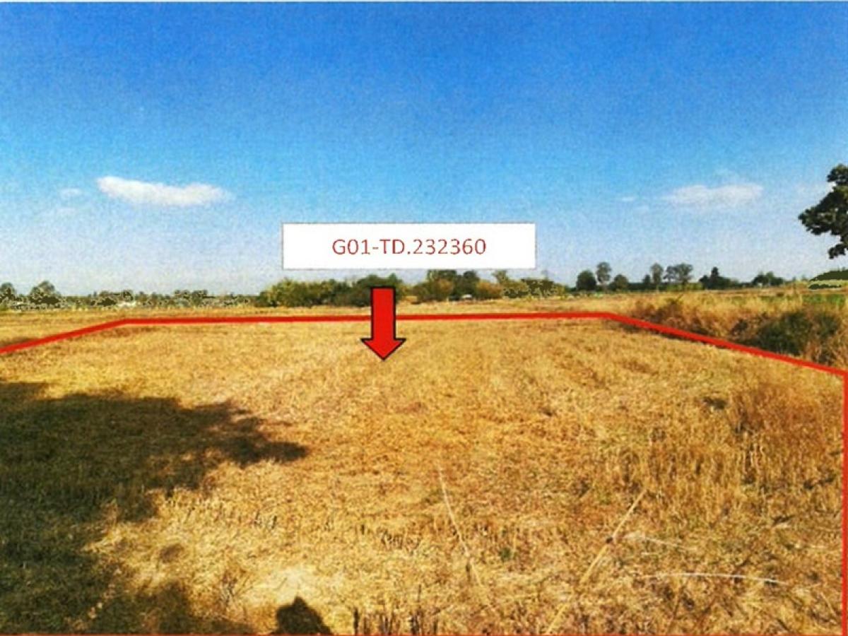 ขายที่ดินขอนแก่น : ที่ดิน