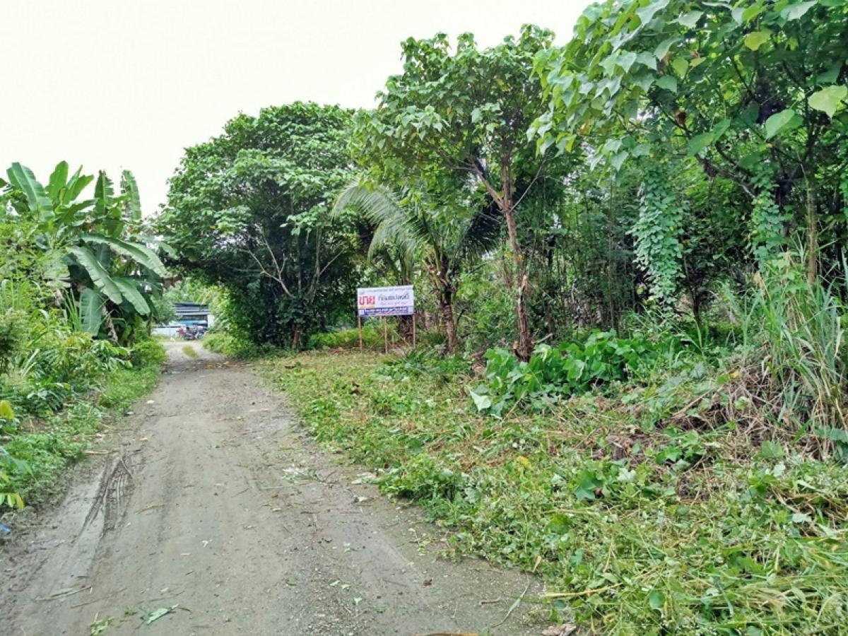 For SaleLandKoh Samui, Surat Thani : Located in the alley without name Ban Nai-Don Sak (4142) Pak Phraek Don Sak Surat Thani