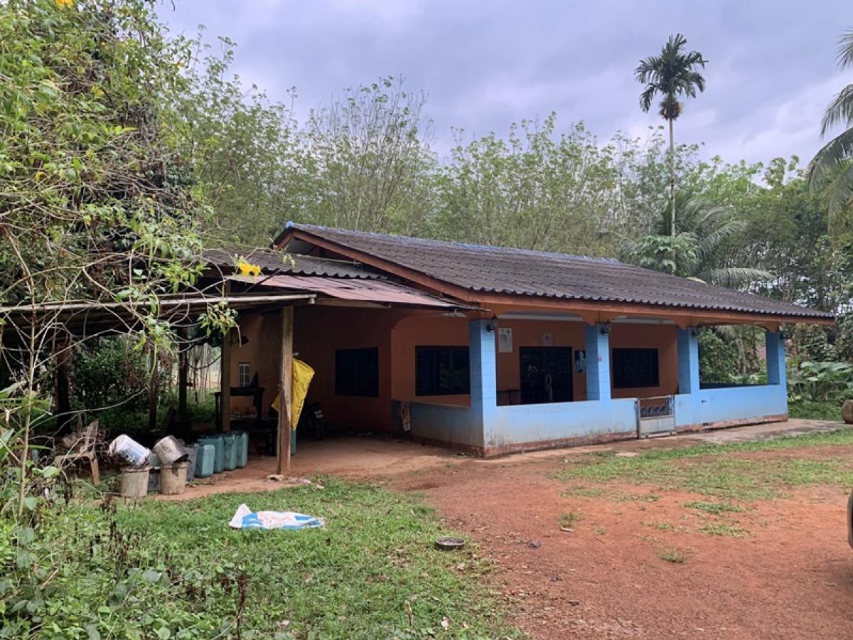 For SaleHouseTrang : 136, -, 172 Khuan Road, Mr. Kwai - Huai Mai Kaen, separated from Trang -Yong Star Road (T. 404)