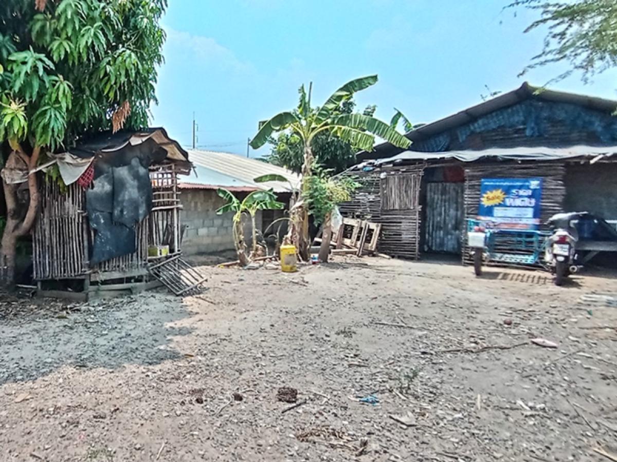 For SaleHouseRoi Et : Selaphum-Kujinarai (2046) Waeng Phon Thong Roi Et