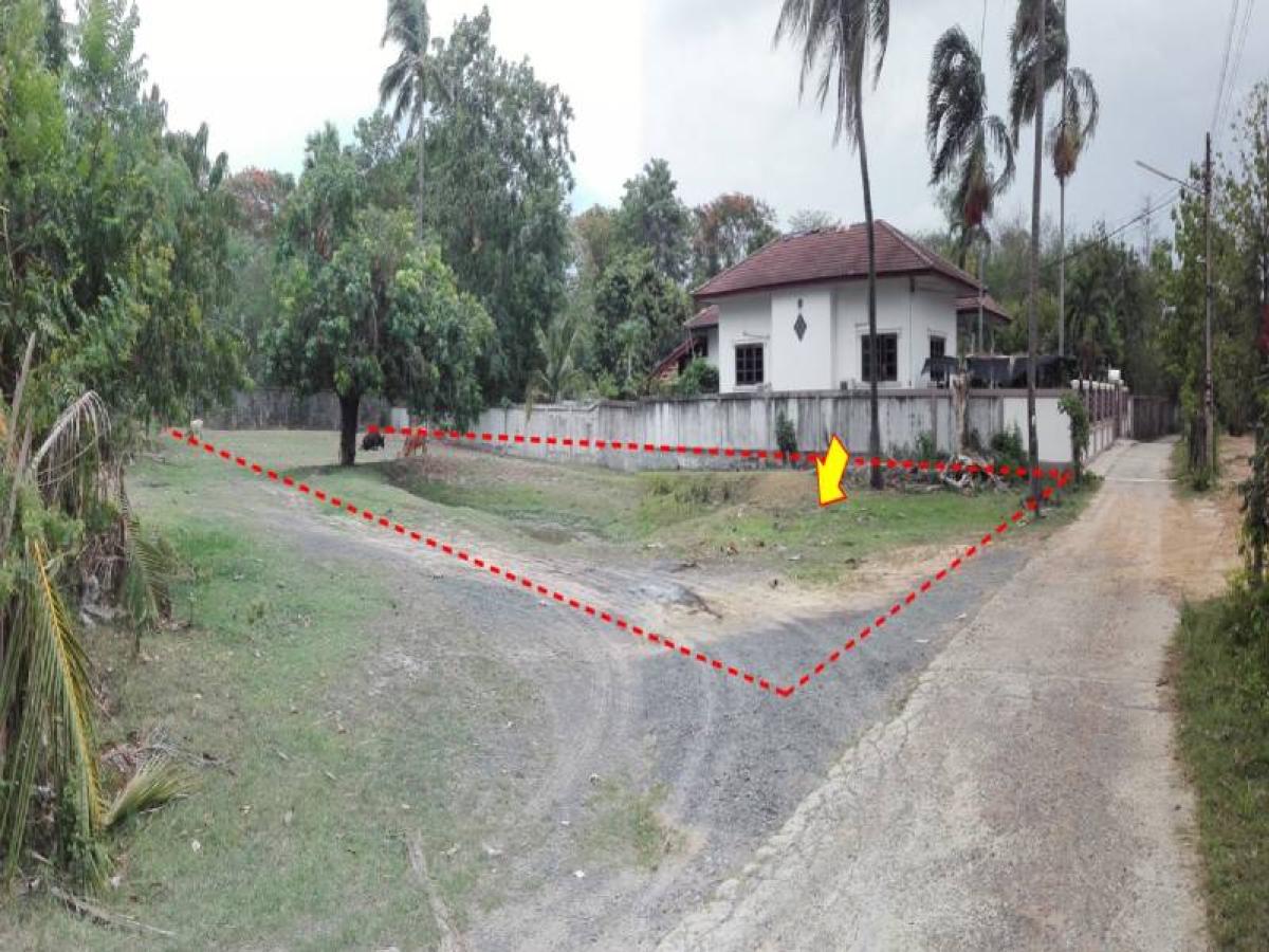 For SaleLandSurin : Located on the public alley Surin-Prasat (214) Nabua Mueang Surin Surin