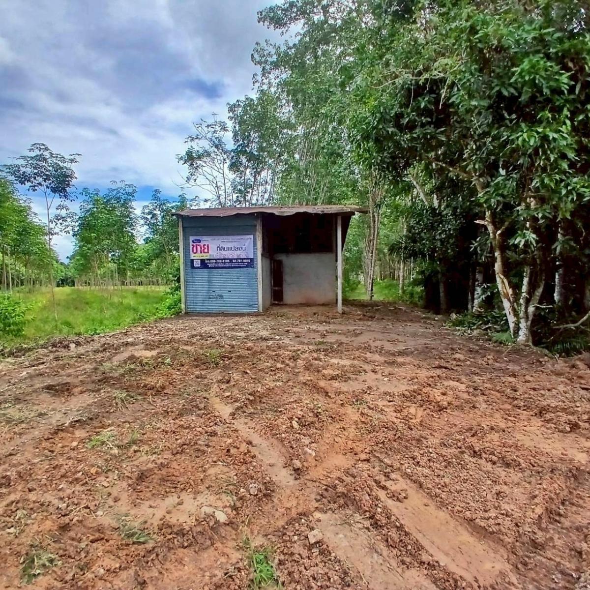 For SaleLandSatun : - Wang Pring Road - Ko Sai, separated from Chalung -Lala Snake Road (Tor. 416), Tha Phae Satun Port