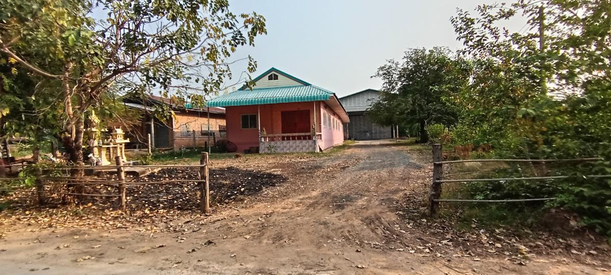 For SaleHouseRoi Et : 141 Village No. 5, Ban Wai Lum-Ban Phai Lom, Pork, Chiang Kwan, Roi Et