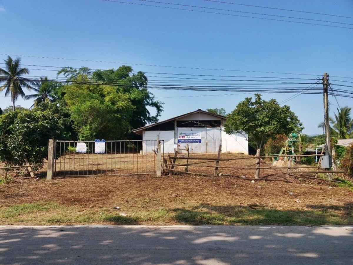 ขายโกดังพะเยา : ที่ดินพร้อมสิ่งปลูกสร้าง โรงซ่อมรถ อยู่ติดถนนสายบ้านน้ำแวน-บ้านทุ่งหล่ม (ทล.1186) ตอน กม.ที่ 5+650