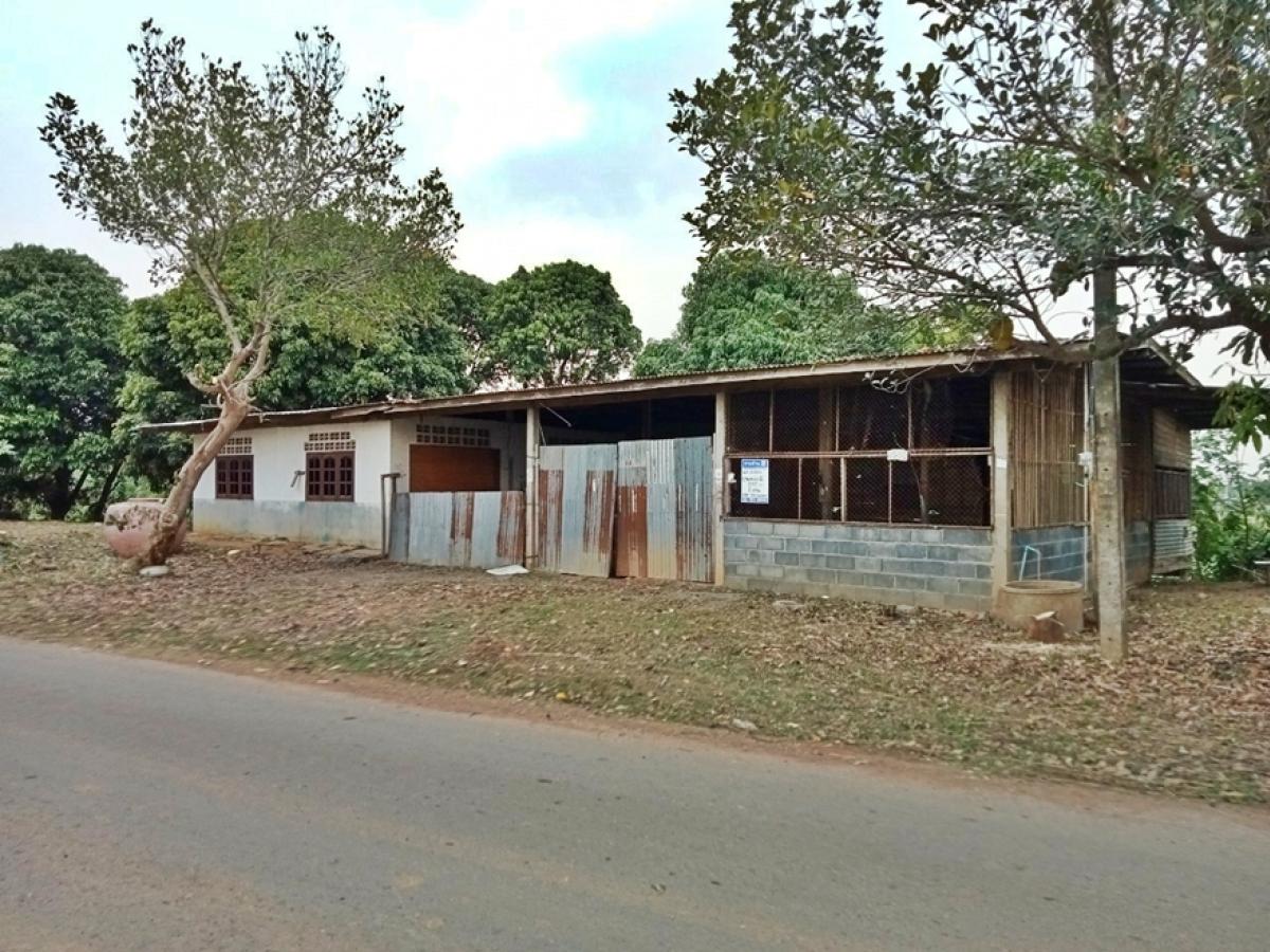 For SaleHousePhetchabun : 189/1, - Nam Khun Nuea - Ban Pak Huai Khon Kaen (Por. 2116) Pak Chong Lom Sak Phetchabun