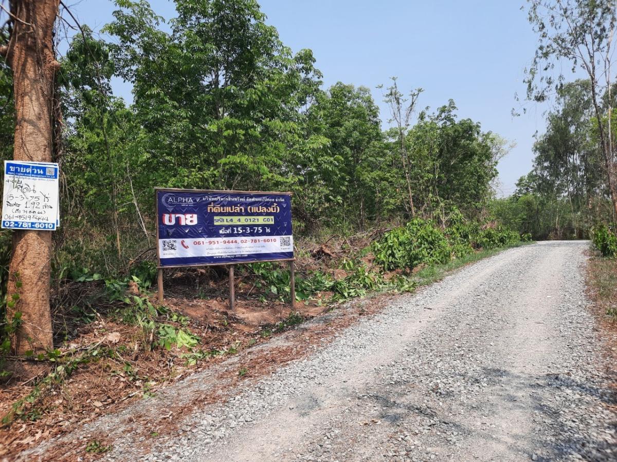 ขายที่ดินเลย : ที่ดิน ห่างจากถนนสายไร่ทาม-สงเปลือย (ทล.2249) ประมาณ 680 เมตร