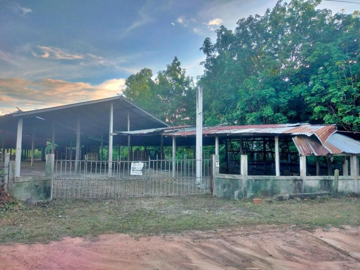 For SaleHouseRoi Et : 17 Ban Wai Road-Ban Phai Lom (Waiting. 1006) Avoid Roi Et (232) Chiang Kwan Chiang Roi Et