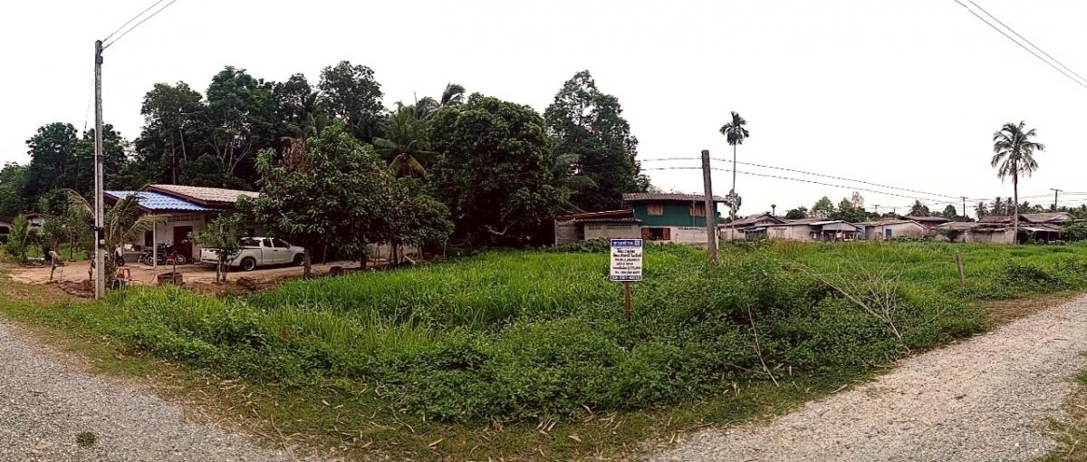 For SaleLandPattani : Next to Pattani - Khok Pho Road (Tor. 42), Bo Thong, Nong Chik, Pattani