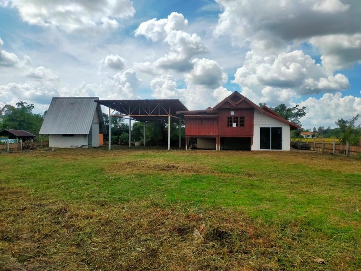 For SaleHouseUbon Ratchathani : 199 Moo 11 Chokchai-Dej Udom (24) Thung Thoeng Dej Udom Ubon Ratchathani