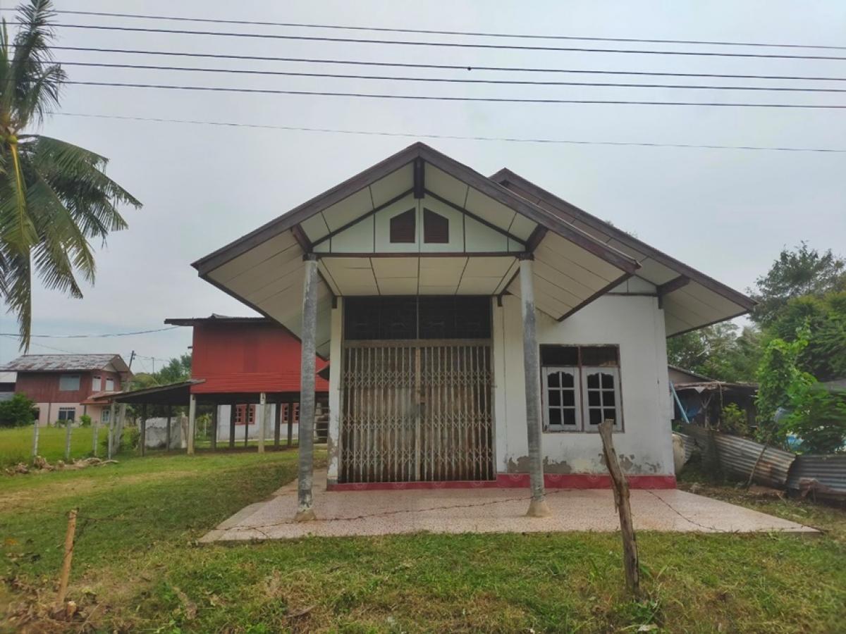 For SaleHouseRoi Et : 56, 15, 133 Baan Dim Lek left Ban Don Taeng-Ban Phon Duan Sing Khok Kaset Wisai Roi Et