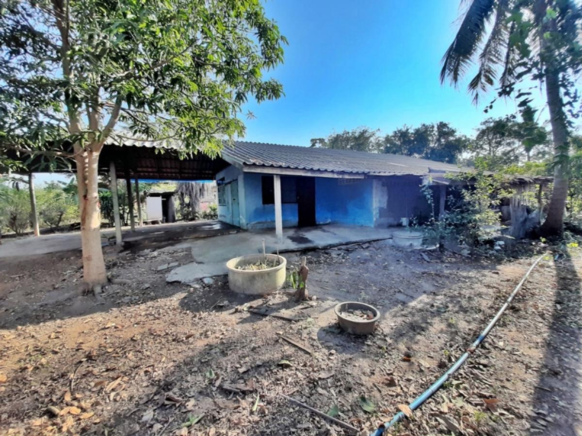 For SaleHouseSuphan Buri : 203/1 Hantha-Don Chedi (3496), the original head of Bang Nang Buat Suphanburi