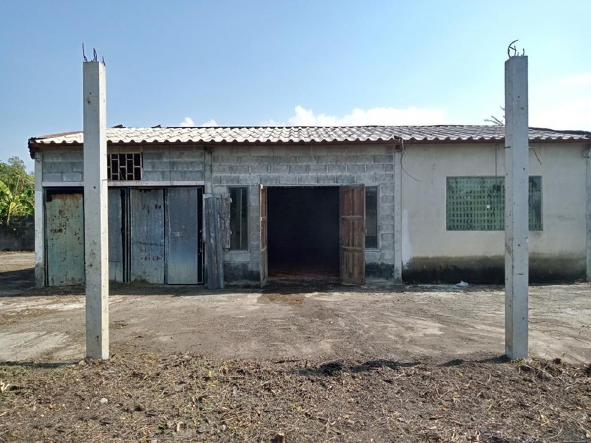 For SaleHouseSuphan Buri : 252 Village No. 5, Plai Na-Ban Pa Lord (Sor Por. 2052), Plai Na Sri Prachan, Suphanburi