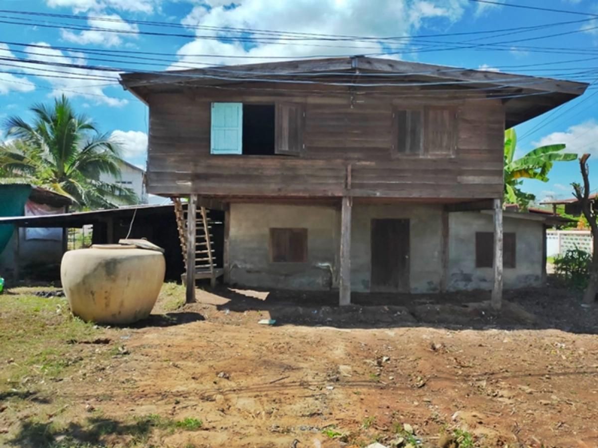 For SaleHouseChaiyaphum : Nong Kung 178 Moo 14 Chaiyaphum-Chum Phae (201) Guangjo, Phu Khiao Chaiyaphum