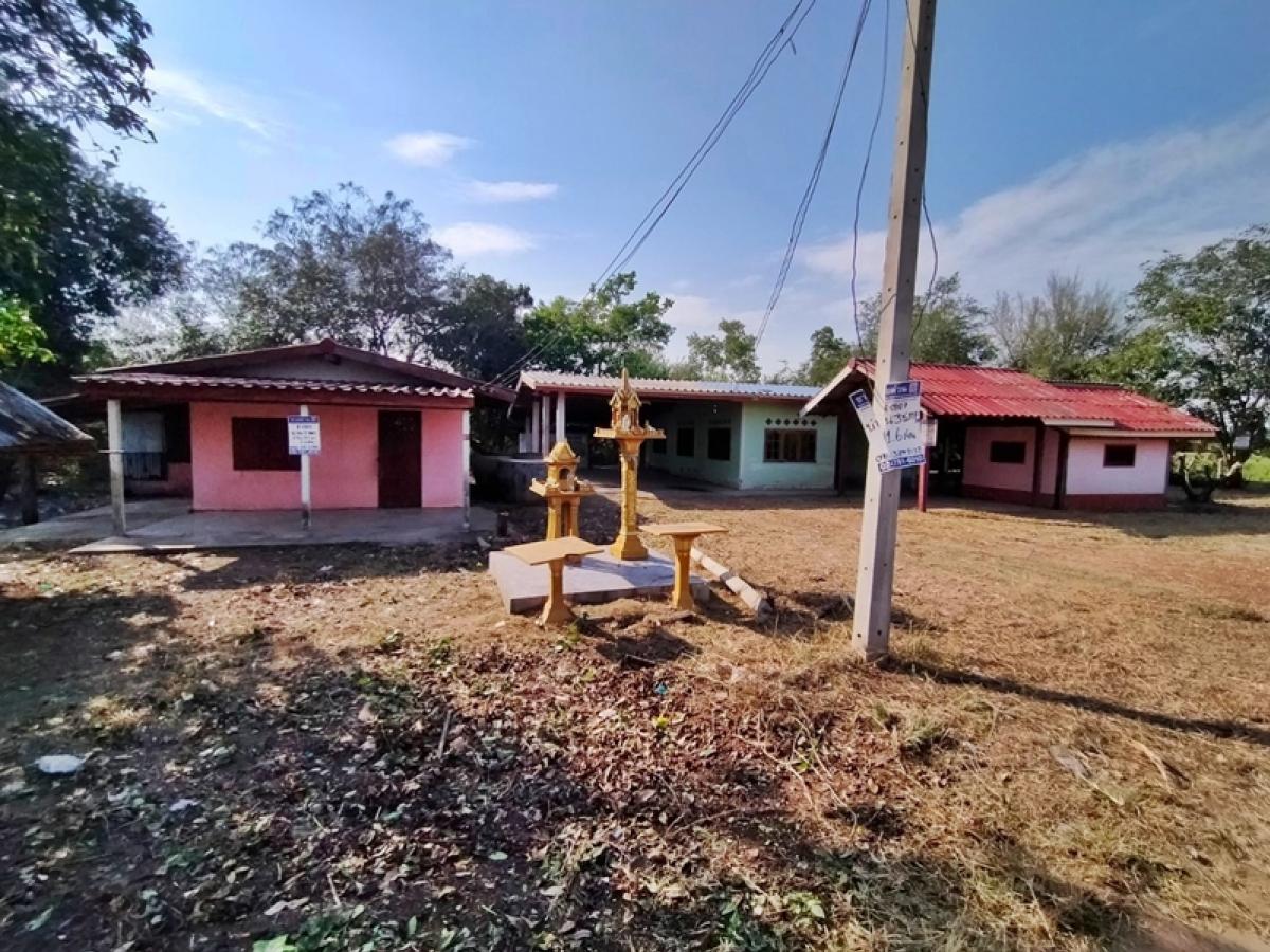 For SaleHouseChai Nat : 146 Ban Nong Nam Khun-Ban Sa Yai Nong Noi, Sing Chainat Temple