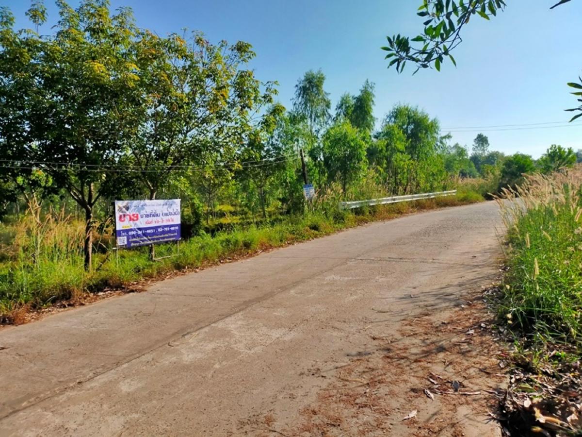 For SaleLandBueng Kan : Baan Khok Khong-Ban Tha Rai Pong Hai Seka Bueng Kan