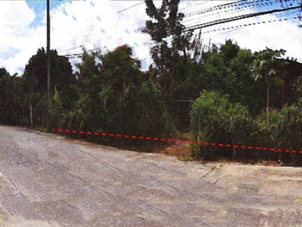 For SaleHouseChiang Mai : 113, Ban Muang Road, separate from Hua Wiang-Ban San Pong Road Sai Ping Khong-Phrao-Wiang Pa Pao Road (Tor. 1150), Wiang Phrao, Chiang Mai