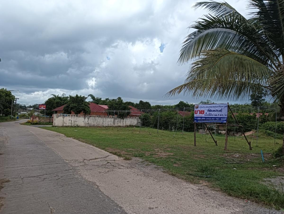 For SaleLandKrabi : Village No. 1, Soi Municipality 8, separate from Petchkasem Road (Tor. 4), Petchkasem Road (Tor. 4) Khlong Phan Khlong Thom Krabi