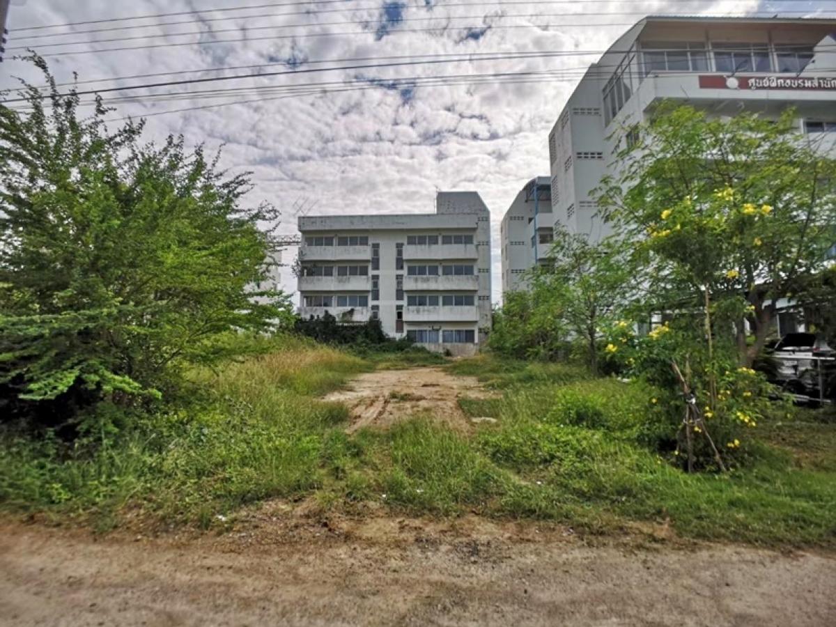 ขายที่ดินชะอำ เพชรบุรี : ที่ดิน  ปึกเตียน วิลล่า