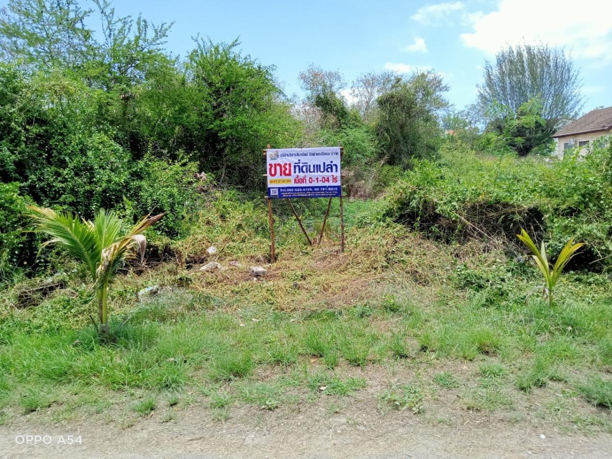 ขายที่ดินชะอำ เพชรบุรี : ที่ดิน