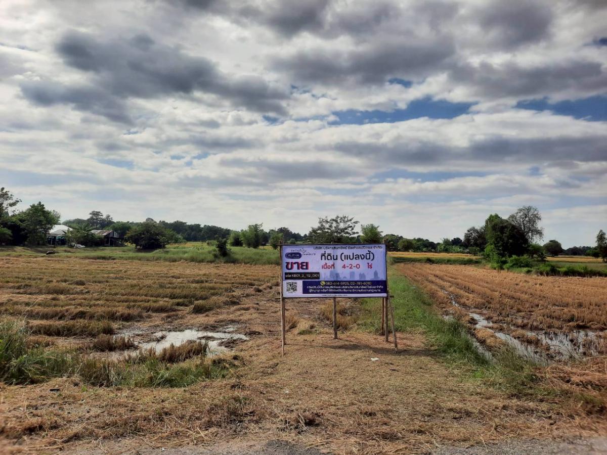 For SaleLandMaha Sarakham : 0 Baan Na Khi-Ban Nong Waeng Na Kalakha