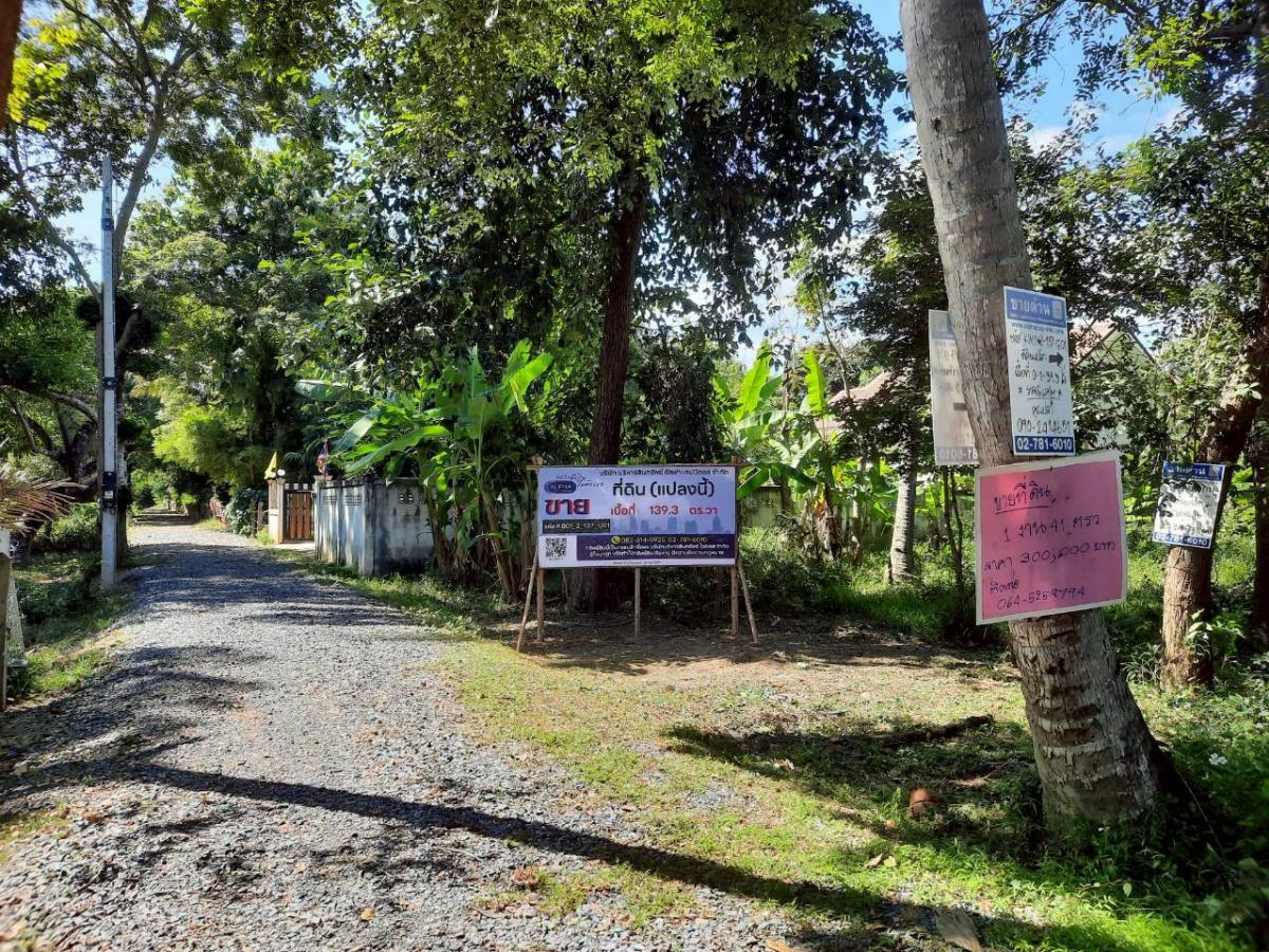 For SaleLandMaha Sarakham : The public is not a separate name from Soi Thip Philabuebueb, Borabue, Maha Sarakham.