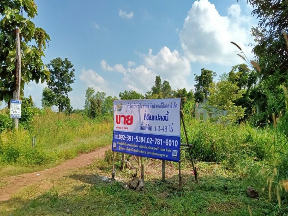 ขายที่ดินกำแพงเพชร : ที่ดิน ติดศรีโยธินซอย 6 