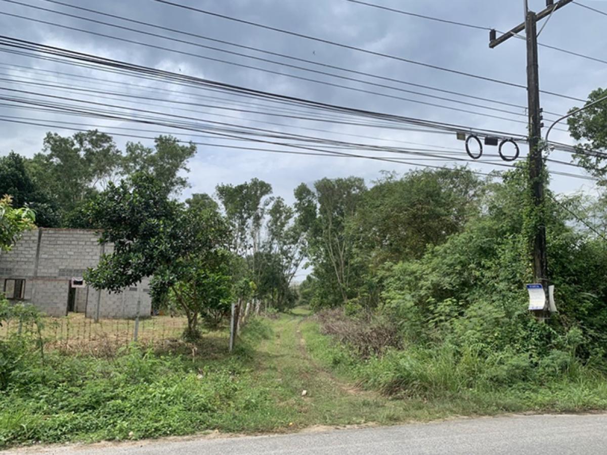 For SaleLandHatyai Songkhla : Khuan Niang-Ban Huai Lek (Sor Kor. 4024) Khuan Sopaniang Songkhla